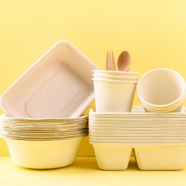 Biodegradable Vs Compostable Whats The Difference