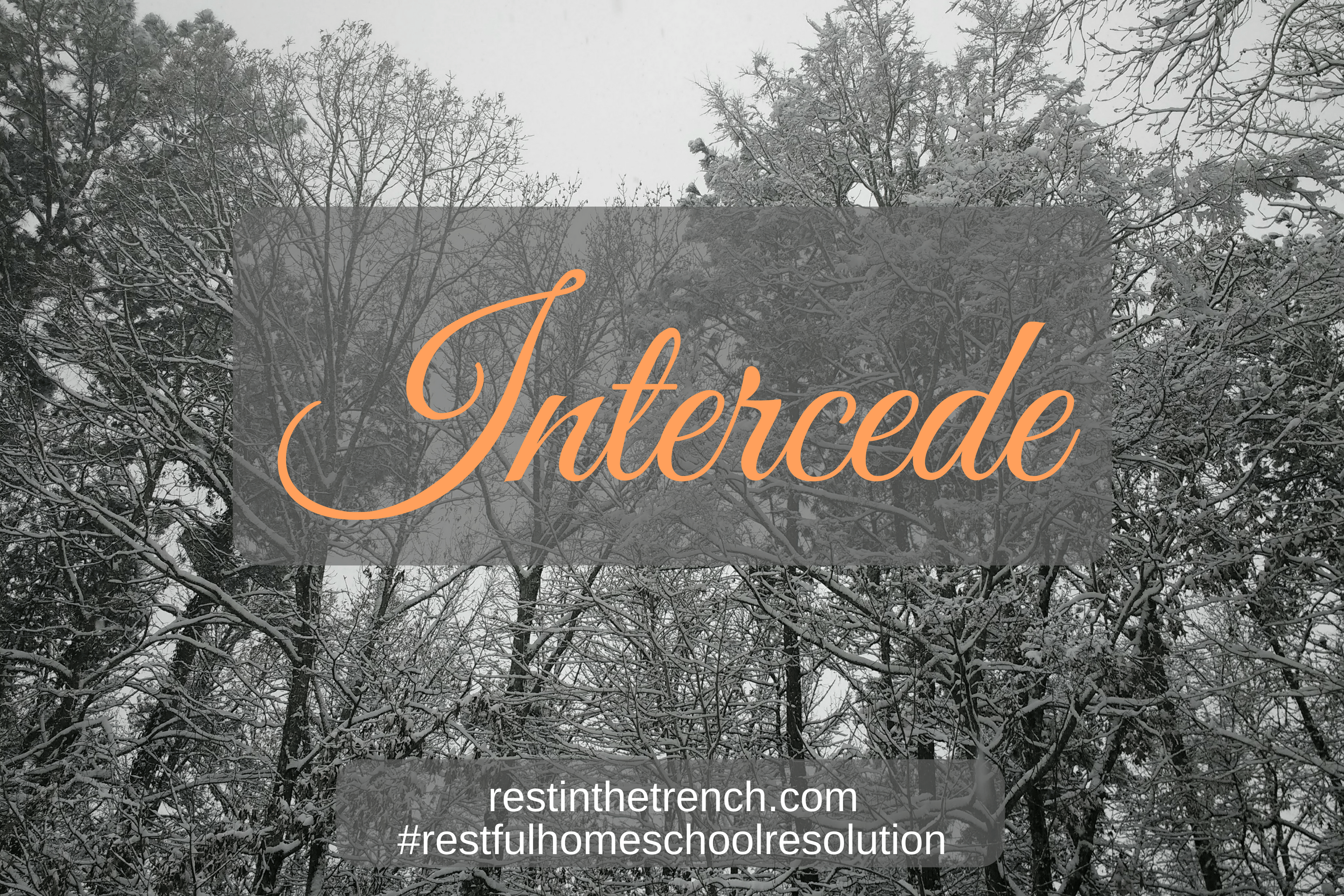 One step in your commitment to seek Jesus first for a restful homeschool.
