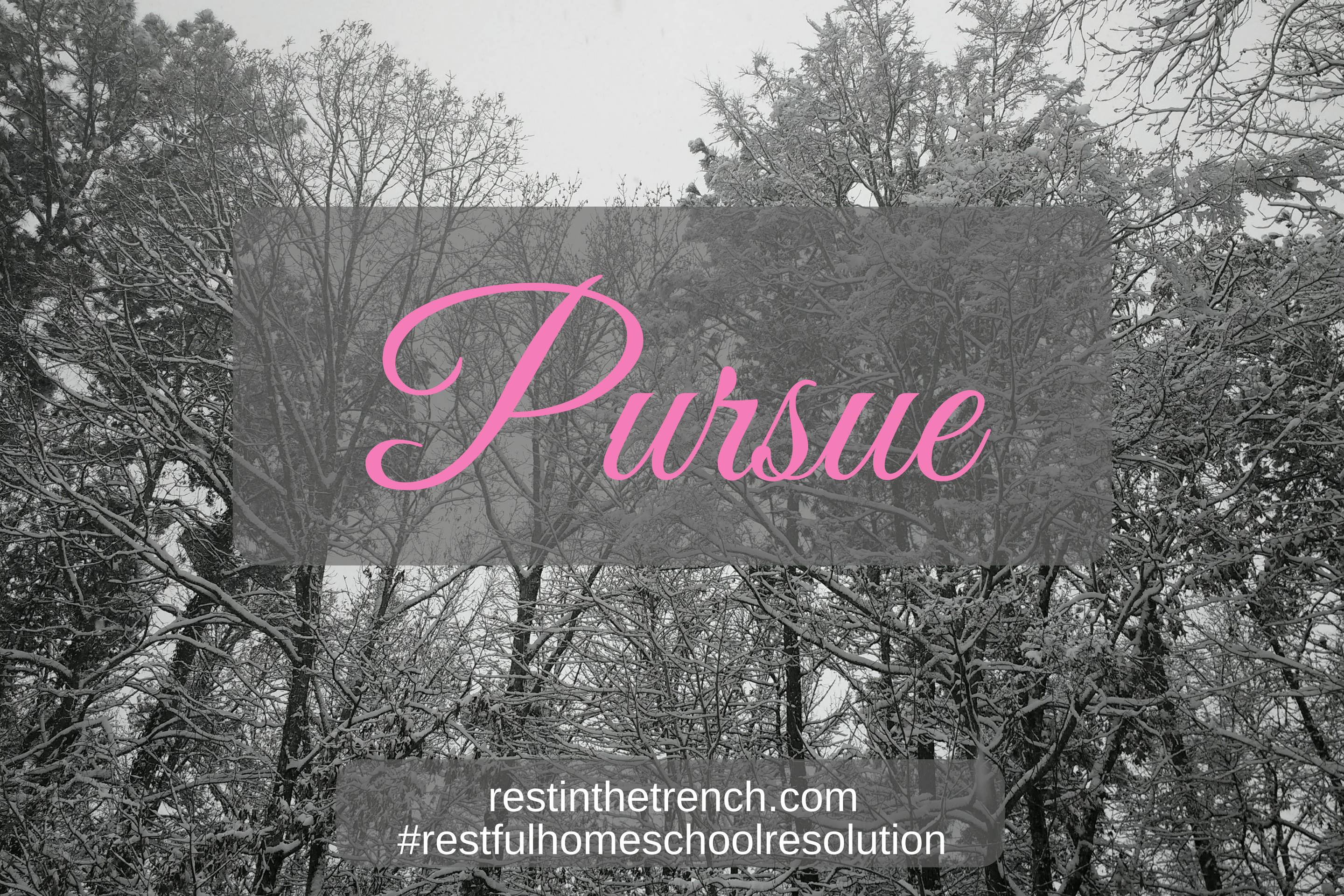 One step in your commitment to seek Jesus first for a restful homeschool.