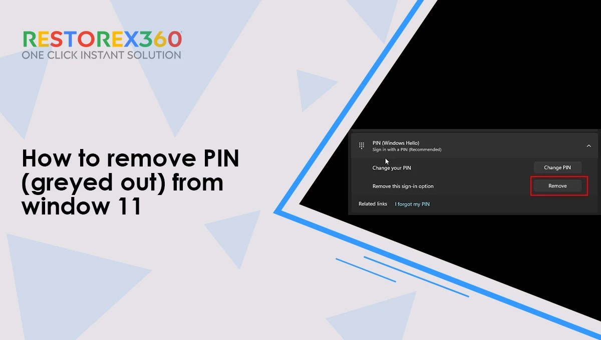 How to Remove PIN (Greyed Out) from Windows 11
