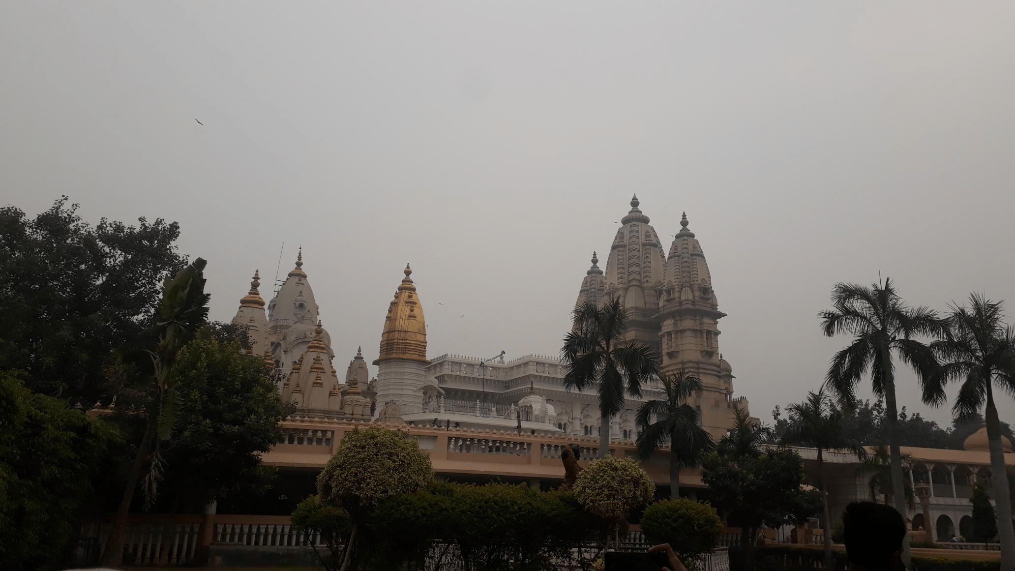 नवरात्रि: व्रत और इसका महत्व