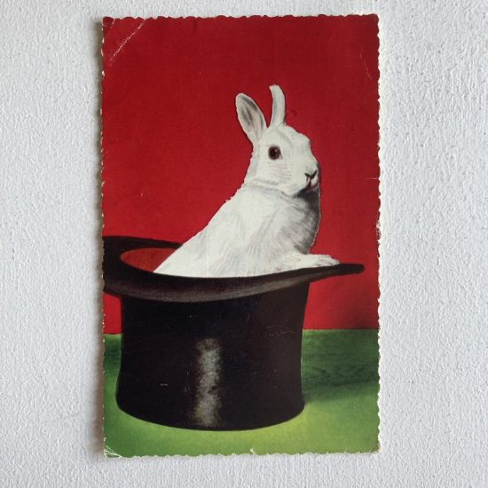 A vintage postcard of a White Rabbit with a magicians hat. old photo, picture