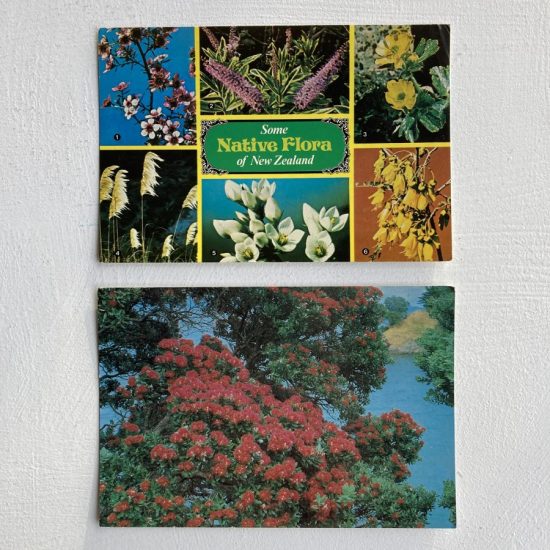 Two vintage New Zealand postcards of plants and flora old photo, picture