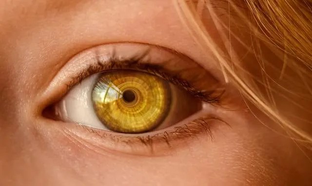 vision
