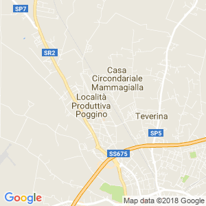 Informazioni sul comune, i servizi, l'amministrazione,. Boselli Srl | Officine Auto Viterbo | Revisione Auto