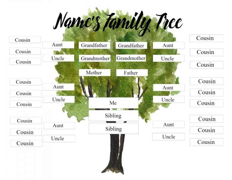 Stevo 732 10 4 hope you enjoy this as it is my. Free Family Tree Template For Kids Customize Online Then Print