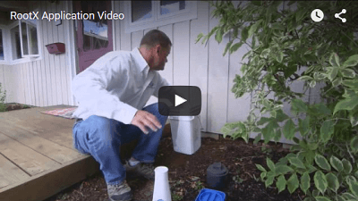 Roundup Tree Stump And Root Killer 250ml Burleydam Garden Centre