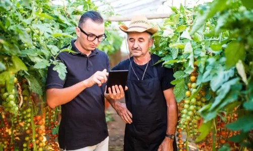 traceability