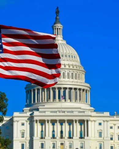 Government