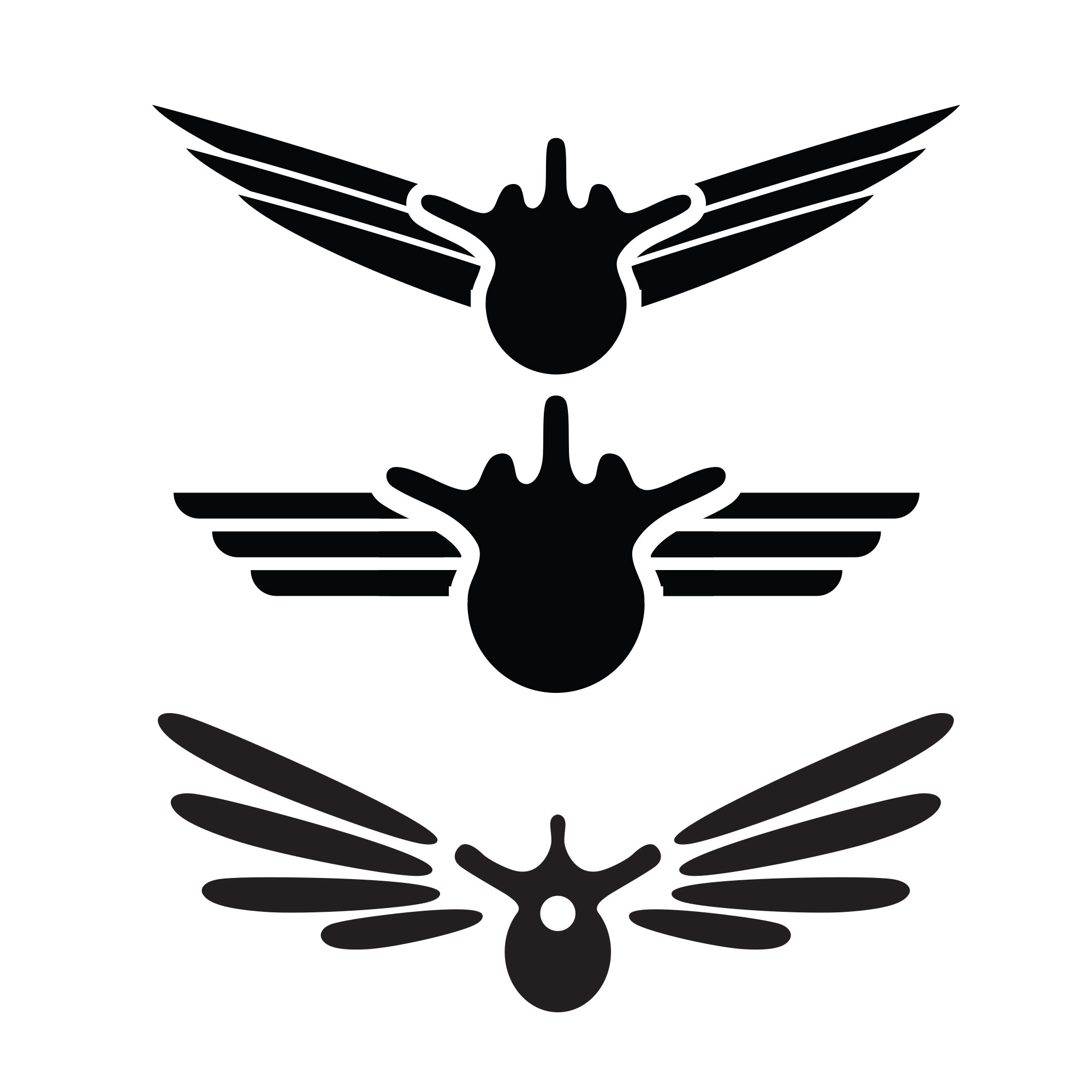 Første utkast til kiropraktor-logo: kombinasjon av vinger og vertebrae (ryggvirvel)