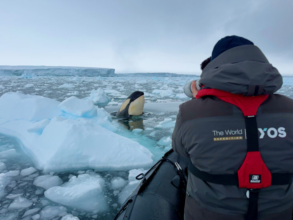 Richard Sidey on a boat photographing Killer Whales spy hopping in Antarctica