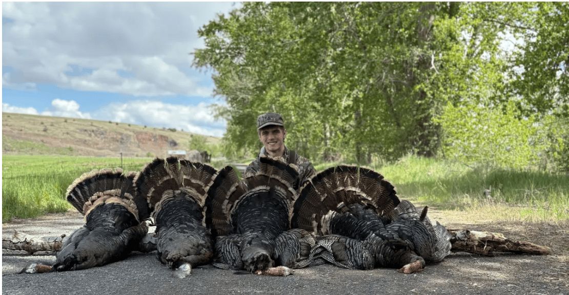 Poacher's Pride Crushed: 21-Year-Old's Illegal Hunting Spree Ends in Jail Time (2026)