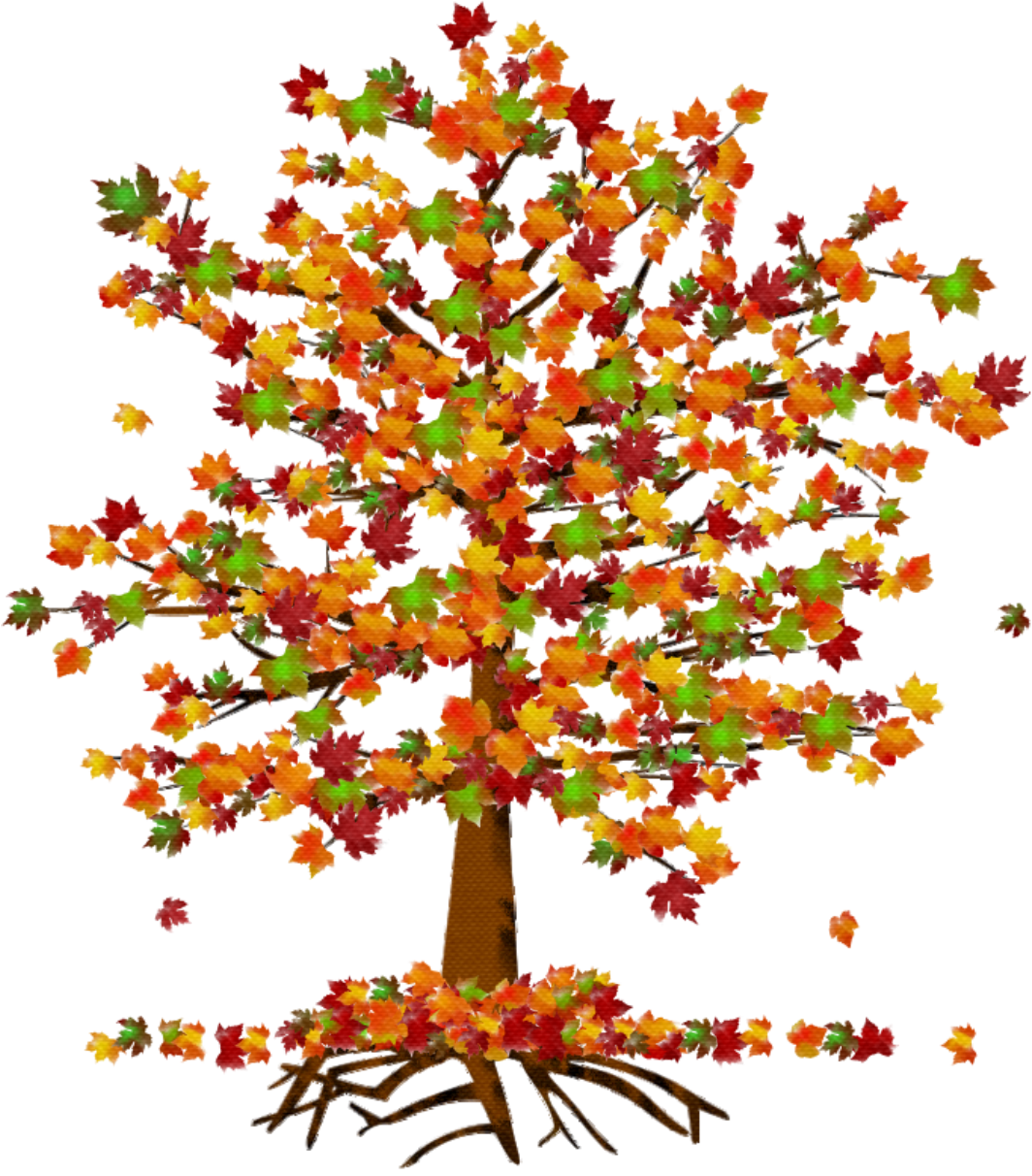 Get planting and growing information for small trees that thrive in the shade from the experts at hgtv gardens. About Smith Tree And Landscaping Professional Services