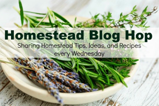 💴 Saving Money on Prime Days 💰& Homestead Blog Hop 453 - Ridge Haven ...