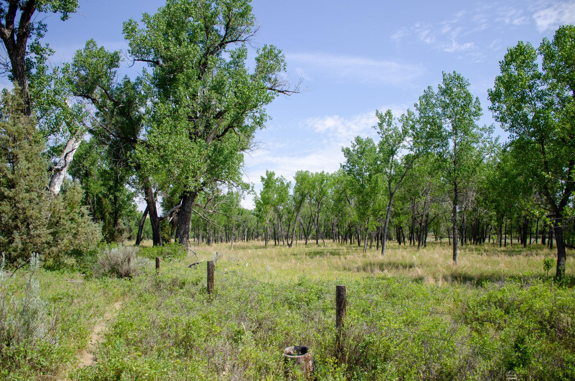 Elkhorn Ranch Unit – Theodore Roosevelt National Park - Right Kind Of Lost