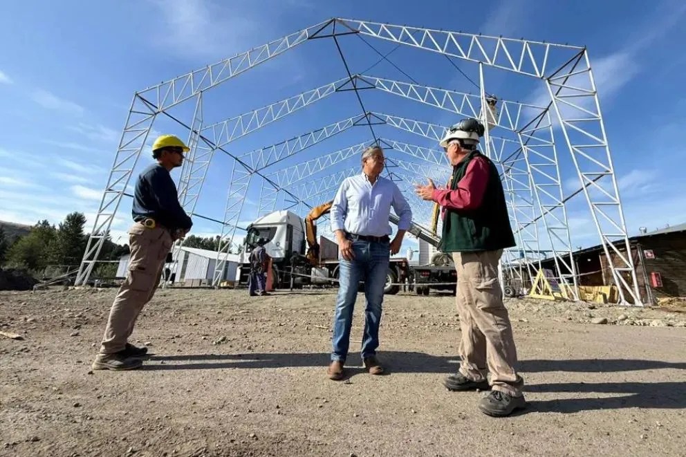 Neuquén transformará la basura forestal en calefacción para familias de la Cordillera: ¿en que consiste el proyecto?