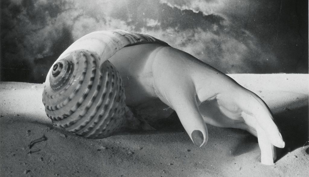 Dora-Maar-Untitled-Hand-Shell-