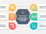 Veterinary Practice Management System Development