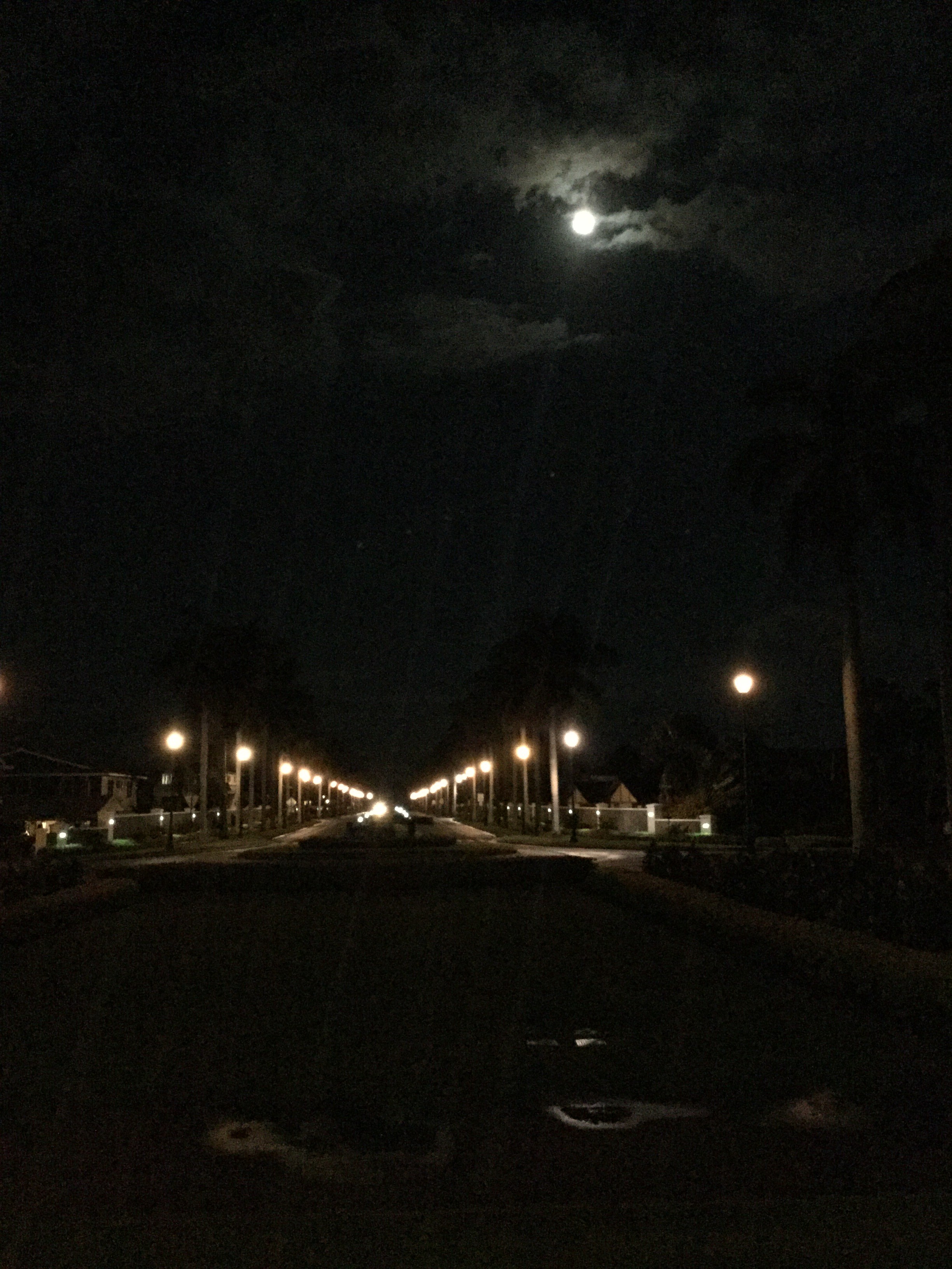 A Beautiful Night in Laie, Hawaii