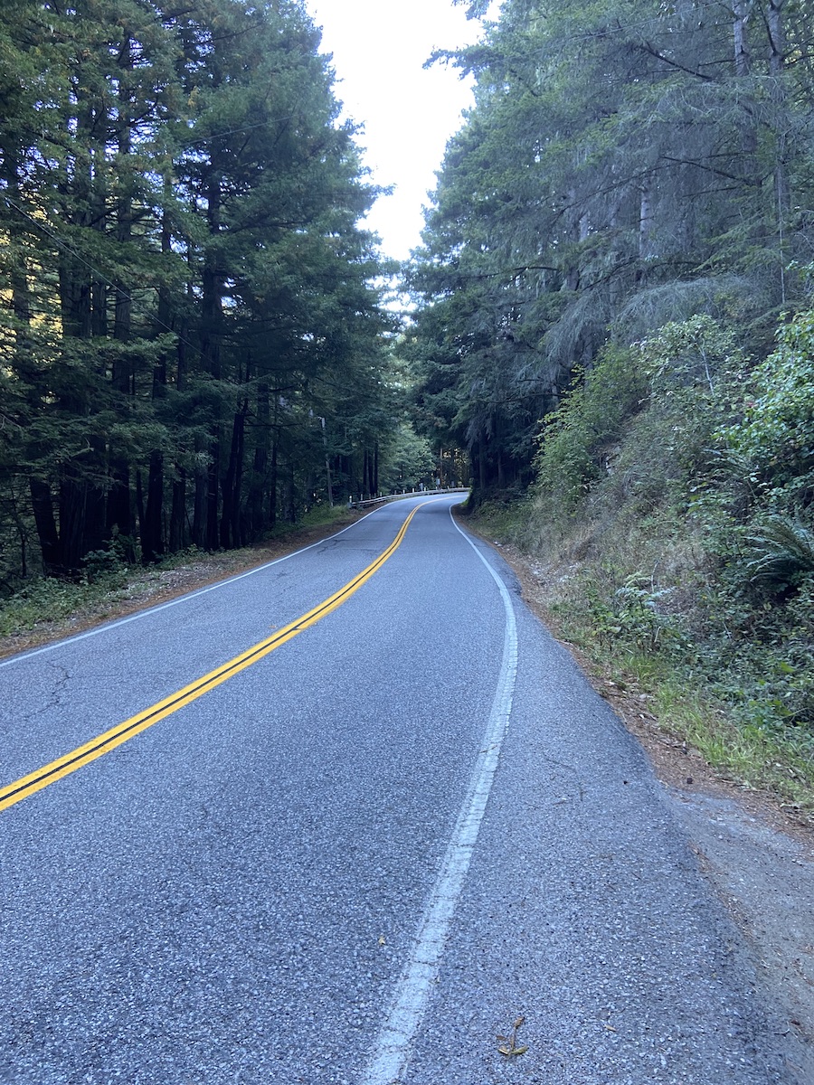 Things to Know About Speed Wobble to Avoid a Crash Road Bike Rider