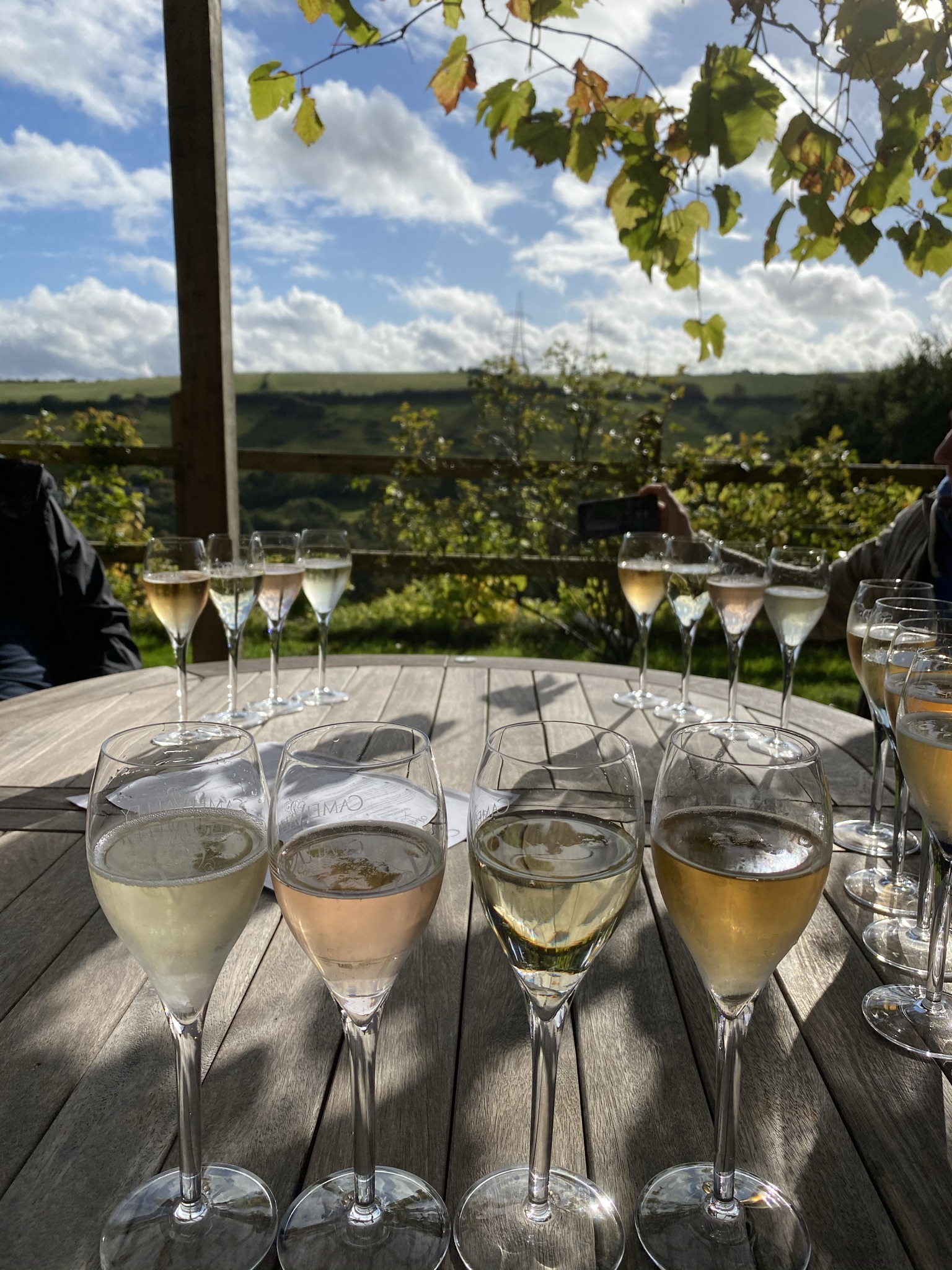Camel Valley winery