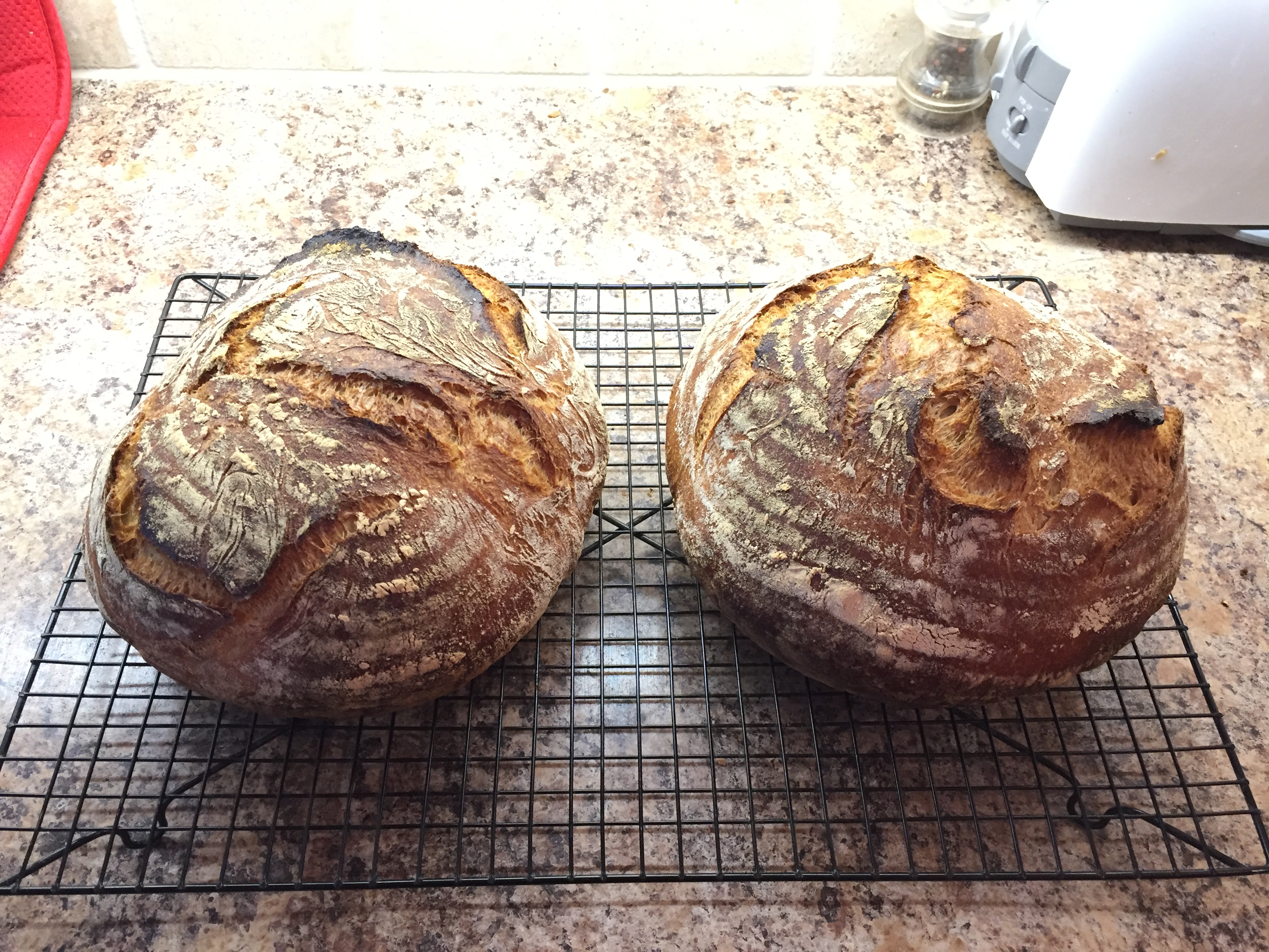 The weekend is for making bread.