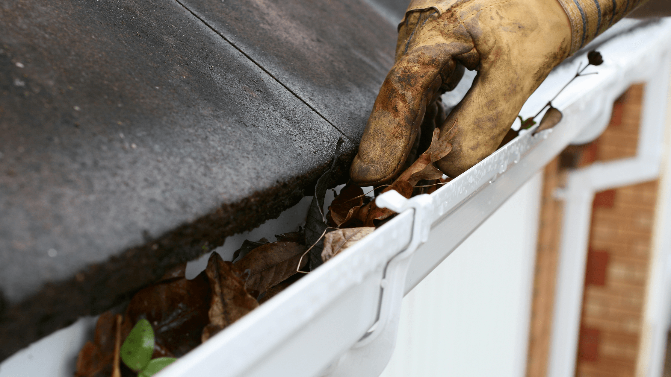 Gutter Cleaner Robot