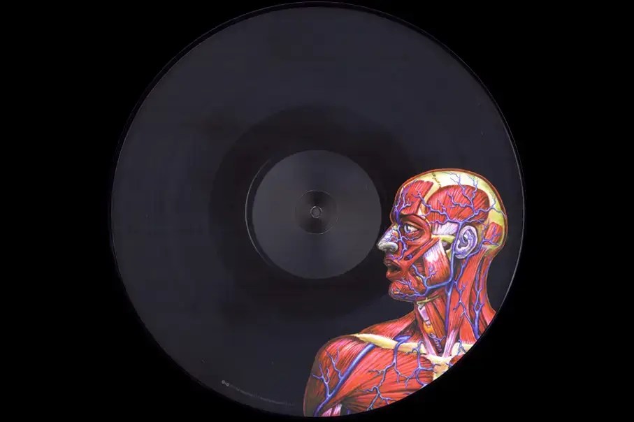 Tool - Lateralus (2LP Vinyl) [Limited Edition Picture Disks