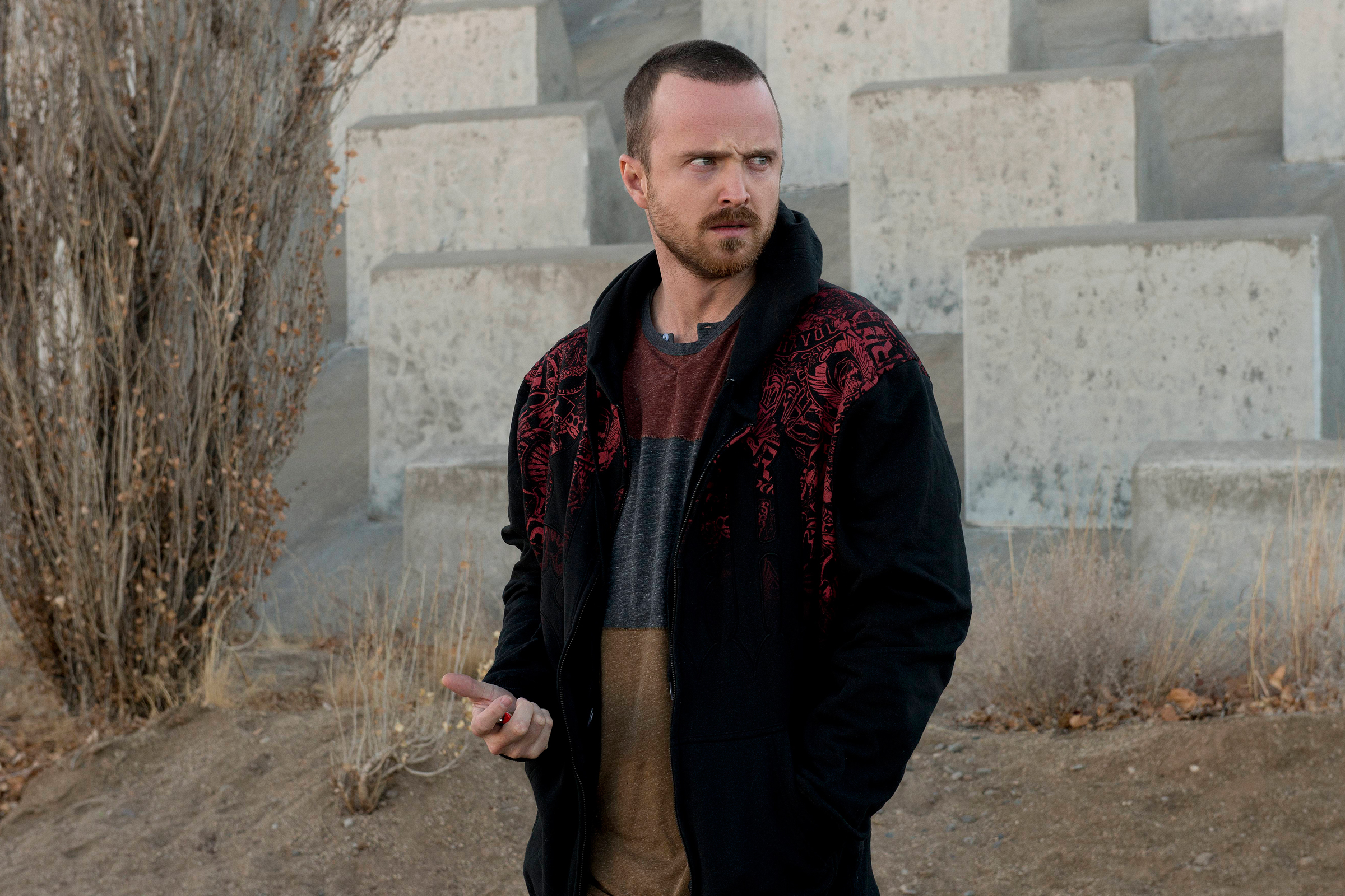 jesse pinkman in breaking bad net worth - Ilustrasi 2
