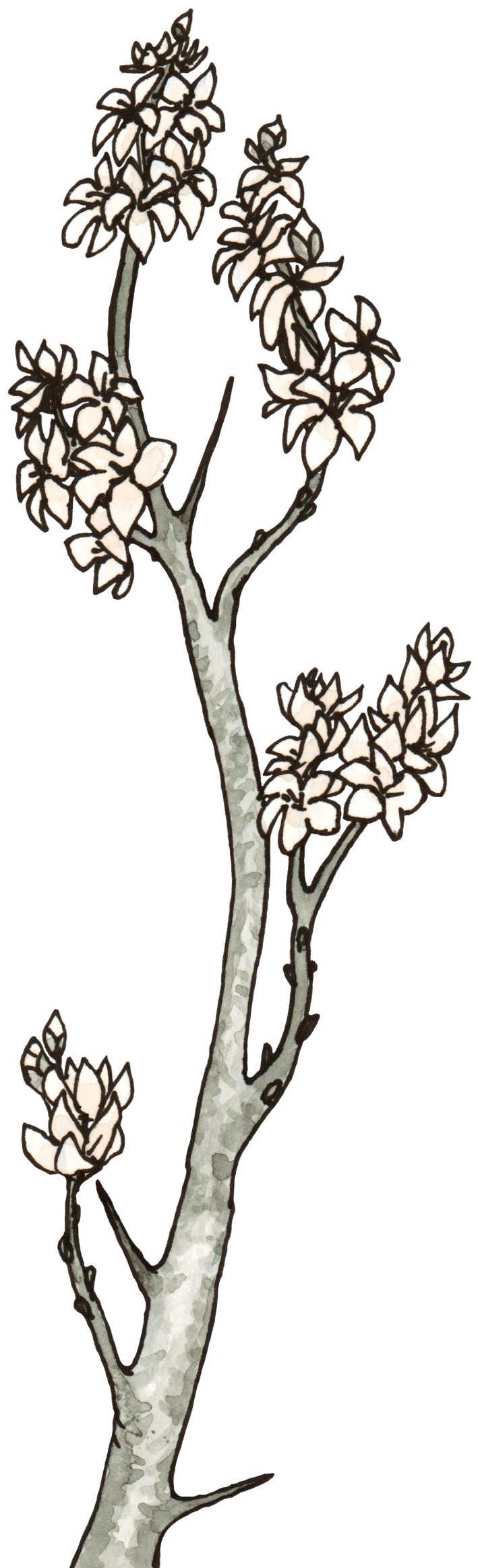 Comic Side Page Root Branch - Professional Landscape Background - Retina