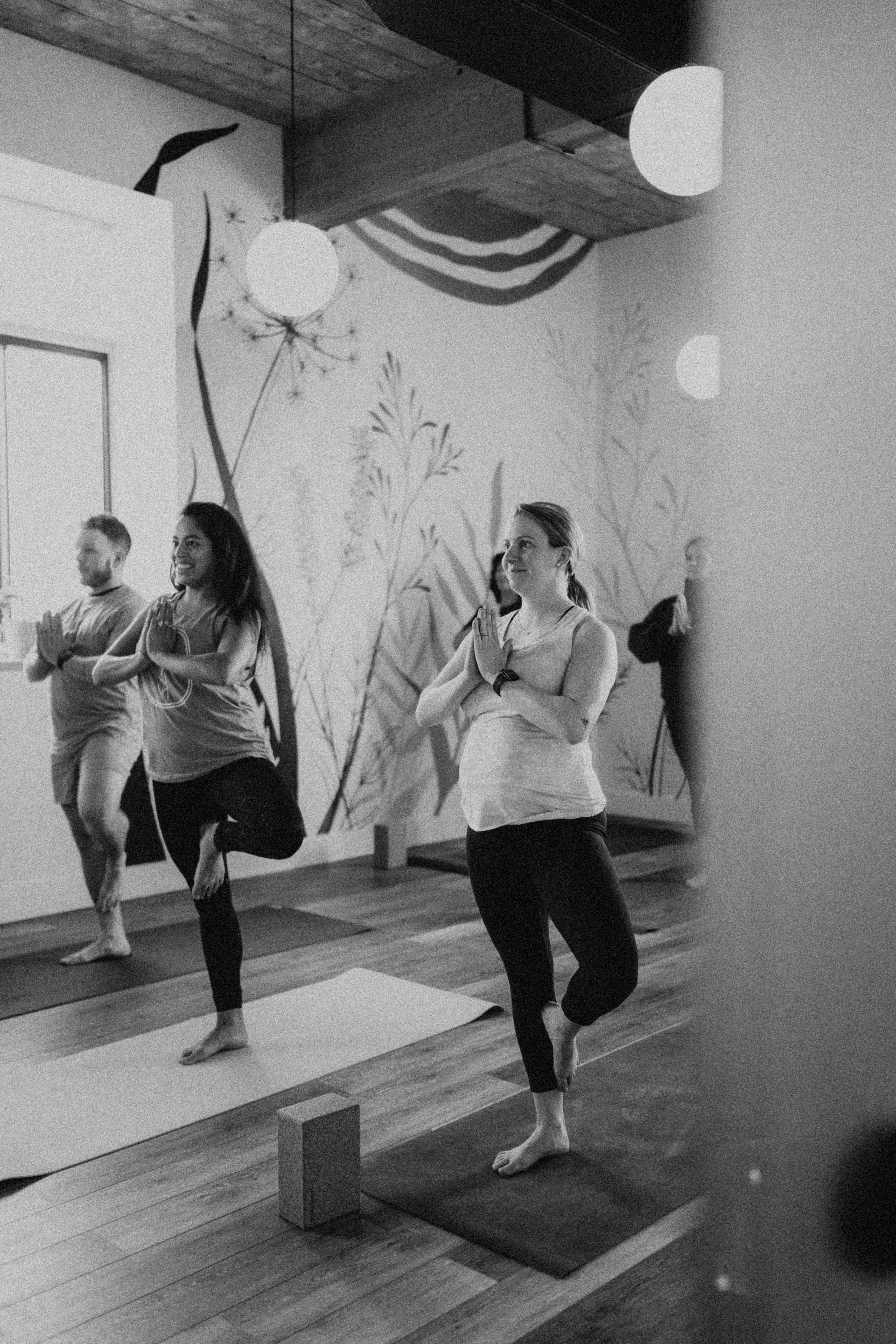 Roots Physical Therapy + Yoga
