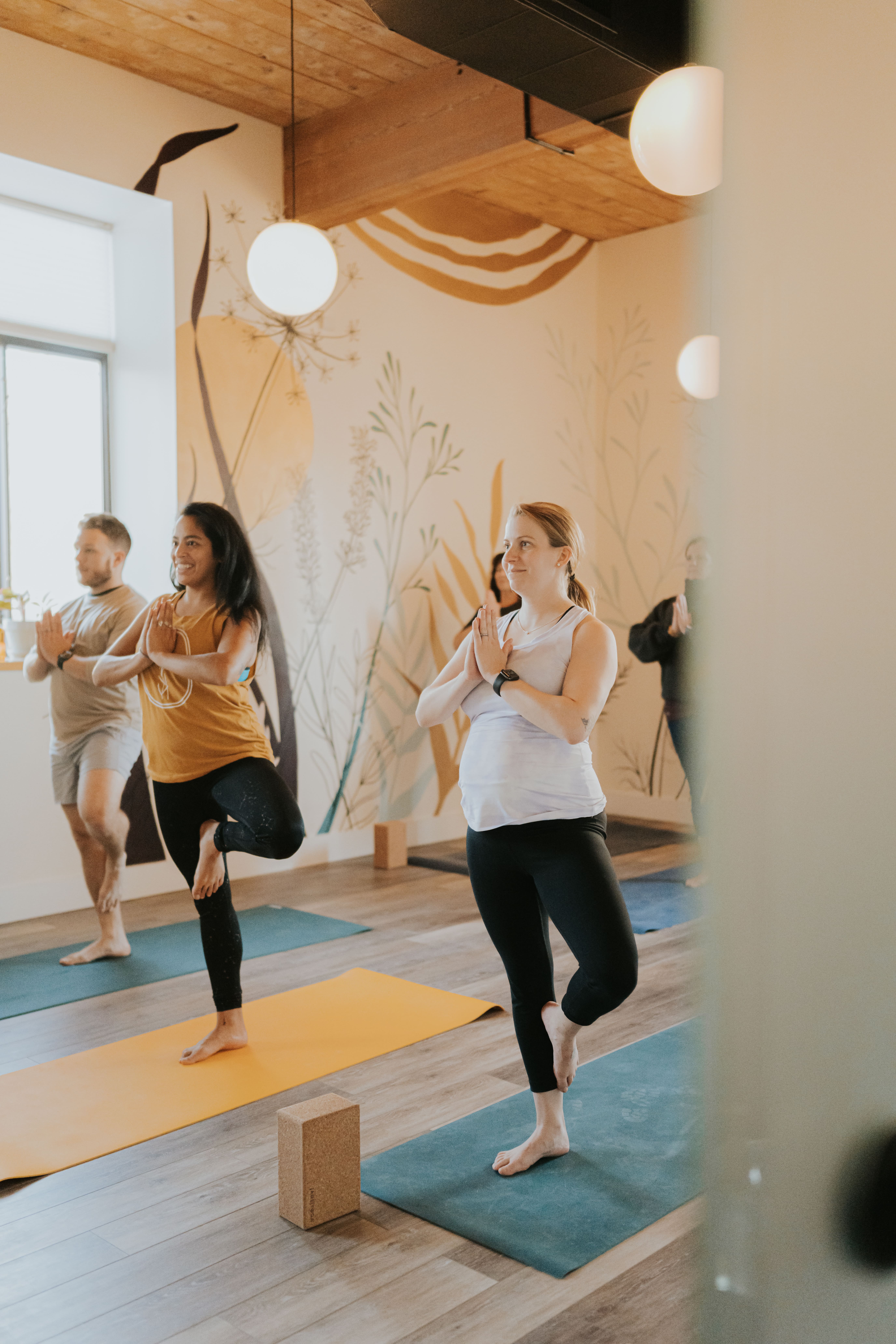 Roots Physical Therapy + Yoga