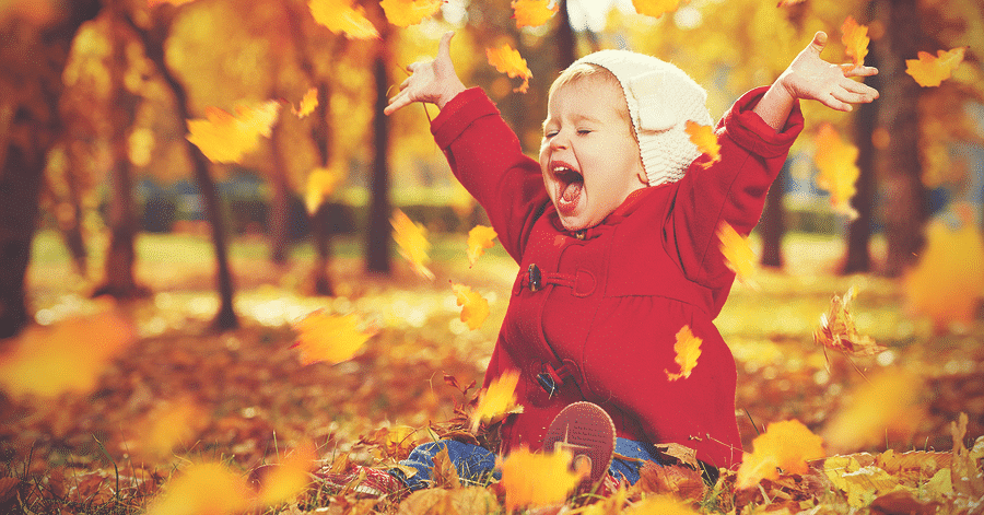 When Is It Too Late To Plant Trees In Fall Empress Of Dirt