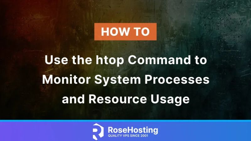 Guide How To Monitor System Processes Using Htop Command Easily With Xcloud Xcloud - Professional Sunset Art - Desktop
