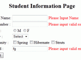 Hibernate Validation