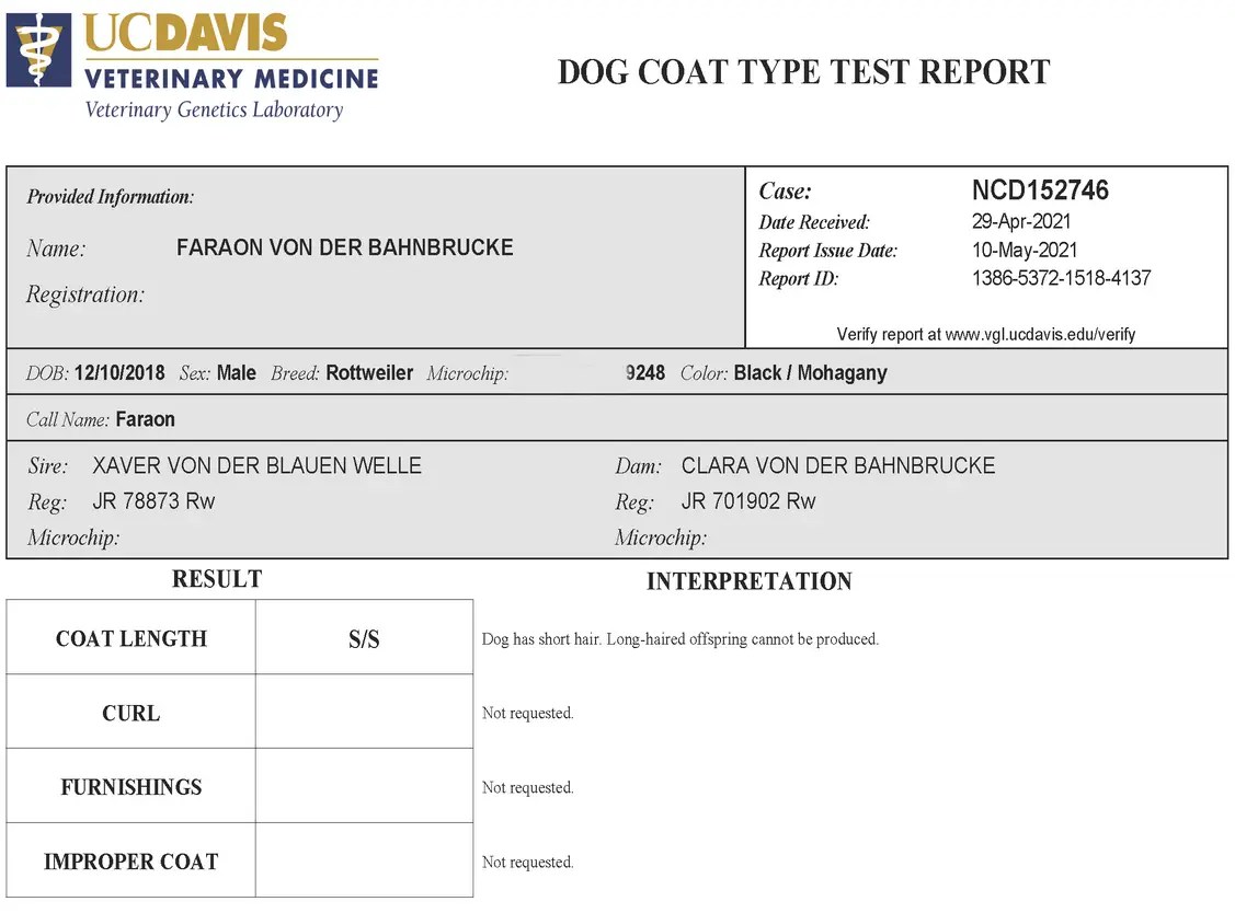Faraon-Rottweiler-Cost-Length-Testing_Page_Web