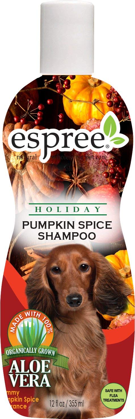 Pumpkin spice for dogs: how to celebrate psl season with your pup