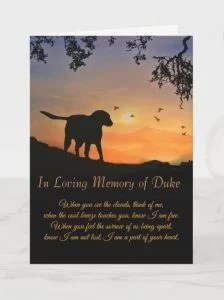 Have you ever wanted to pal around with a pet raccoon? The Best Pet Sympathy Cards That Are Thoughtful And Heartfelt