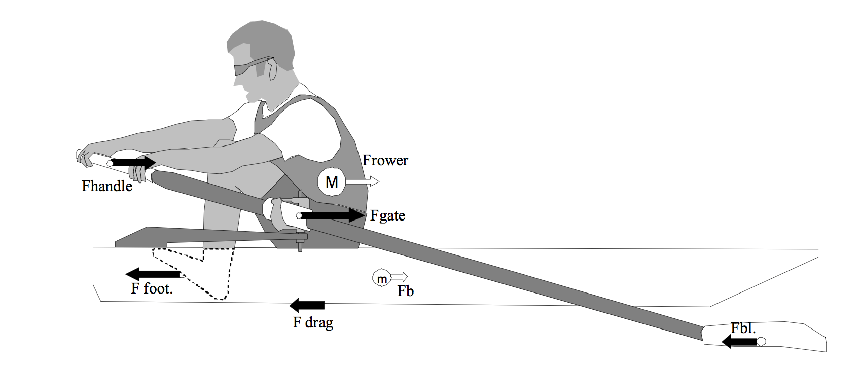Optimize your rowing stroke with rowing in motion