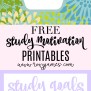 Study Motivation Tips, Inspiration & Want To Study | Roxy James