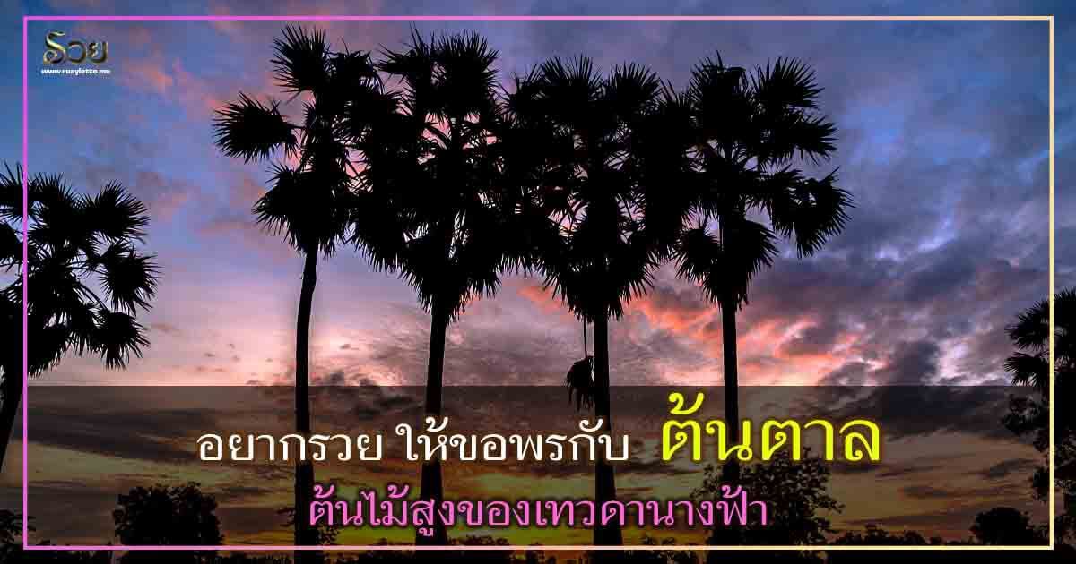 Oct 16, 2021 · ตรวจหวย งวดวันที่ 1 พฤศจิกายน 2564 ล่าสุด โดยการออกสลากกินแบ่งรัฐบาล ออกเวลา 14.30 น. à¸à¹à¸à¸à¸²à¸¥ à¸à¸±à¸à¸à¸§à¸²à¸¡à¹à¸à¸·à¹à¸­à¹à¸à¹à¸£à¸·à¹à¸­à¸à¸à¸²à¸£à¹à¸«à¹à¹à¸à¸à¸¥à¸²à¸  à¹à¸«à¹à¸à¹à¸¥à¹à¸§à¸à¹à¸­à¸à¸à¸£à¸²à¸à¹à¸«à¸§à¹
