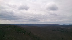DSC_0407 DSC_0407