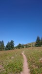 DSC_1377 DSC_1377