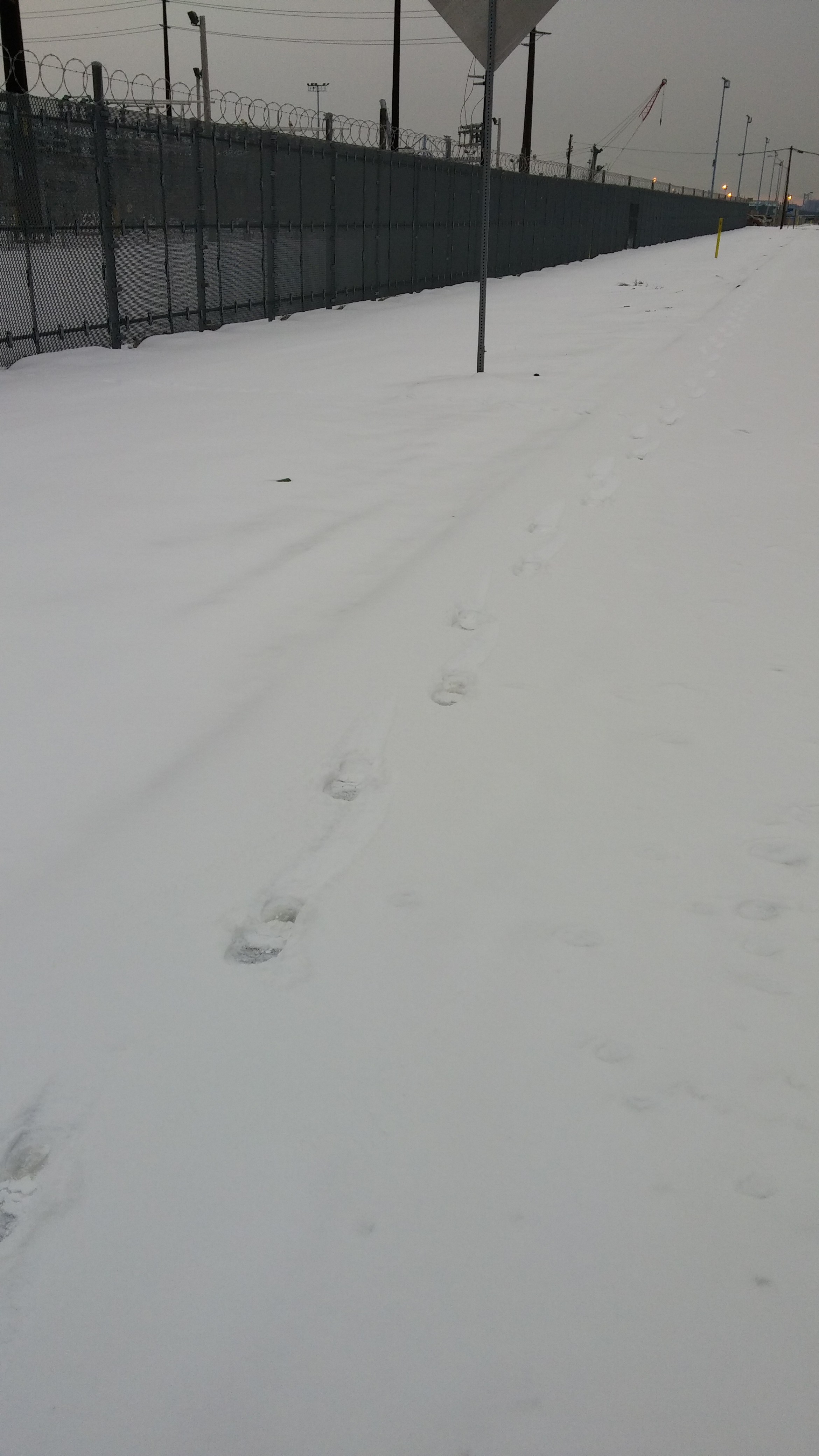 snowy trail