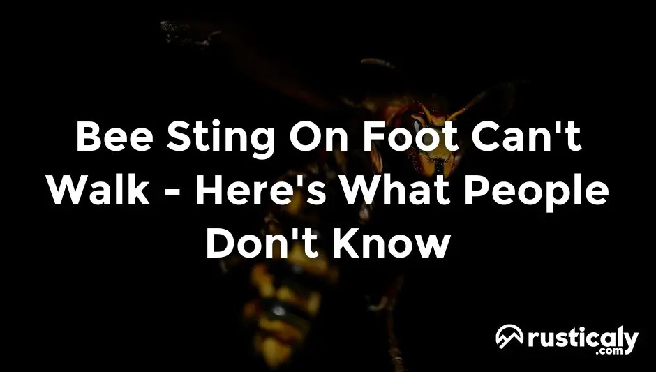 Bee sting on foot can't walk > what people don't tell you