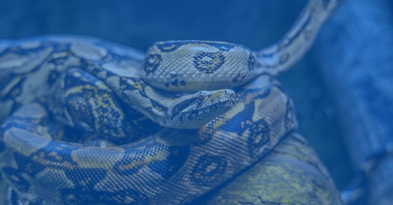 Github Hassanhousseinhoumed Decouvrez Les Librairies Python Pour La - Premium Light Texture Gallery - Retina