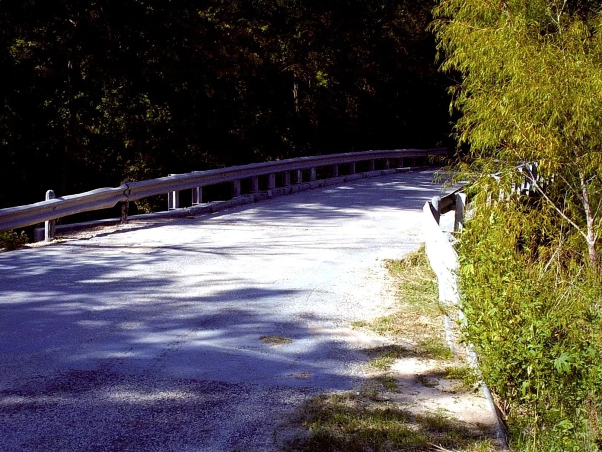 Tracking the Donkey Lady beneath Donkey Lady Bridge