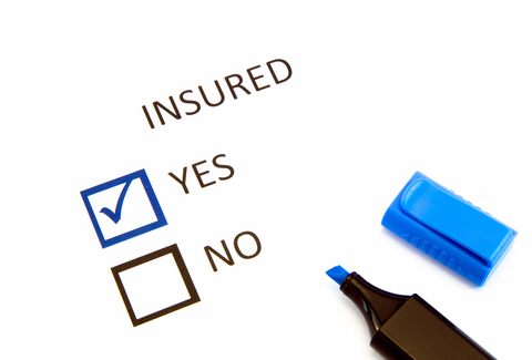 Cyber Risk Insurance