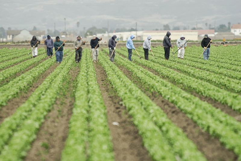 Workers' Comp injuries and migrant workers