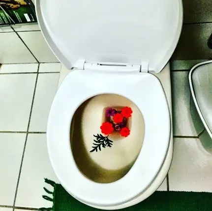 Nord est del brasile.